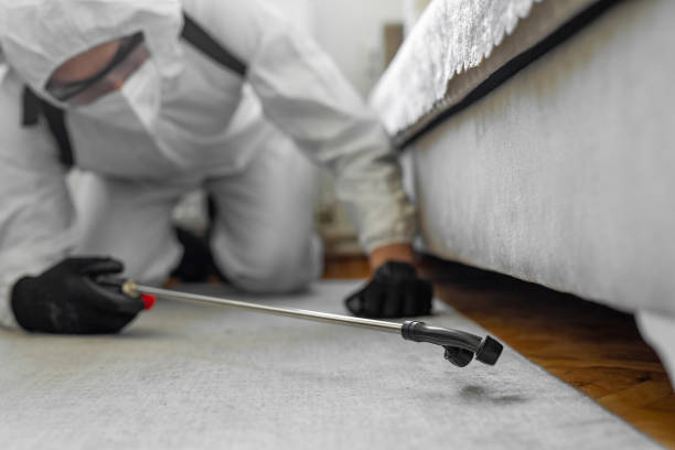 Professional Bed Bug Control technician working in Rosita, TX